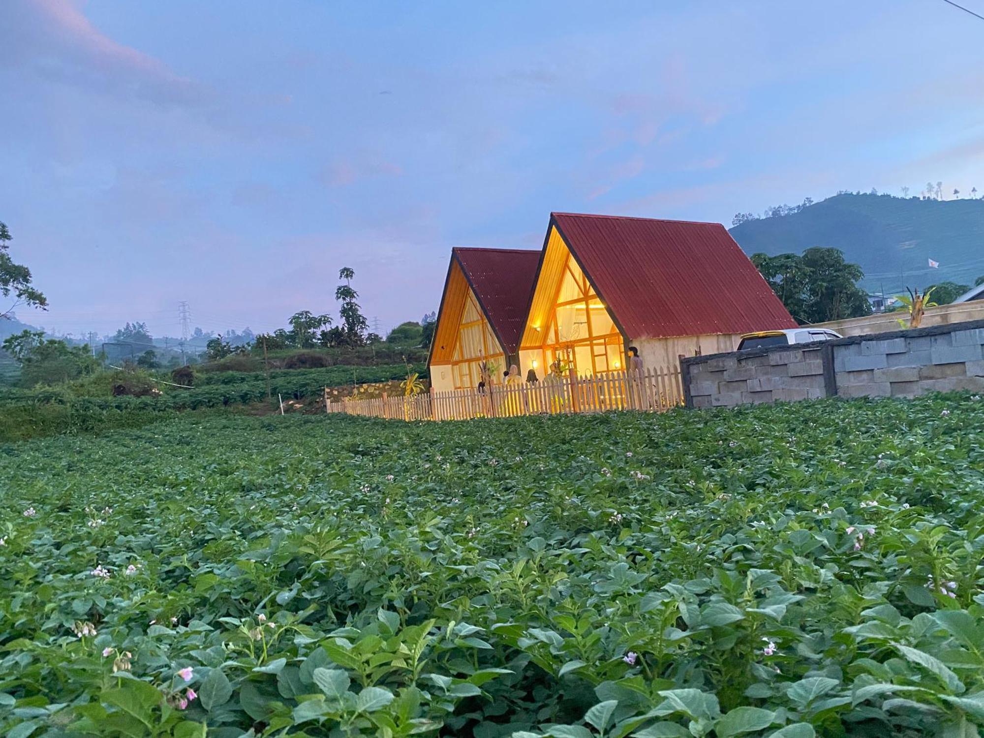 Martos Villa Dieng Diyeng Exterior photo